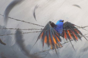 Чаму чалавек з інваліднасцю ў калоніі — дадаткова ўразлівы