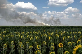 «Либо Путин поведет своих ветеранов на Берлин, либо ему очень повезет, если они поведут его к прокурору»