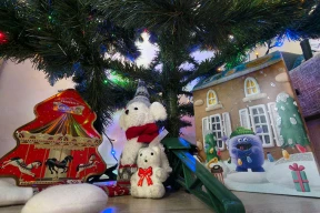 «Падарожнічаць паміж краінамі мы не можам. Але можам пакласці пад ёлку падарунак, які скажа: «Мы памятаем. Мы побач»